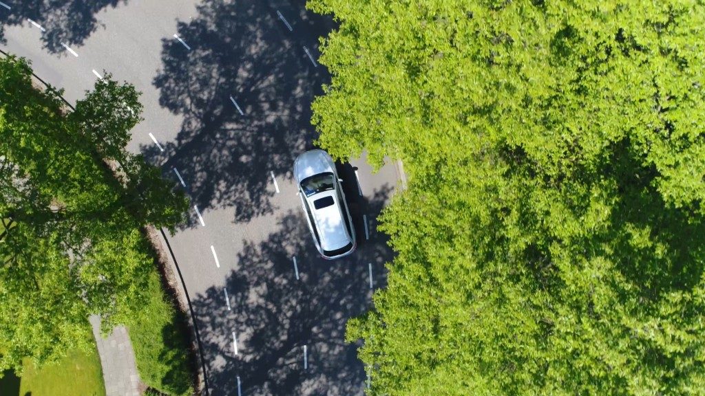 car in the streets surrounded by forest